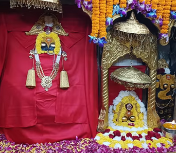 Live Times | Video | Darshan of Mata Shri Naina Devi Ji